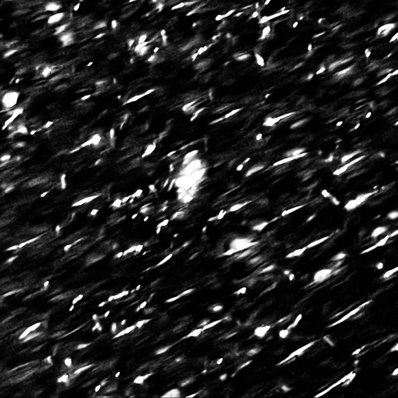 Carolyn Taylor XL Black Knit Silver Sparkle Cardigan - Picture 7 of 8